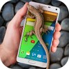 Lizard in phone icon