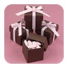 Wedding Favor Ideas icon