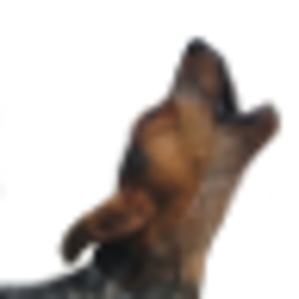 Barking dog (Android) Android app icon