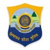 HP Police icon