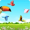 Icona di Sky Birds (free)