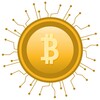 Bitcoin Memory Game icon