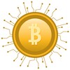 Icône Bitcoin Memory Game