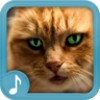 Meowing Cat Sounds icon