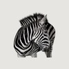 Icona di Investec Business