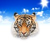 ไอคอน Animal Sounds