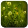 Free Colorful Summer Meadow icon