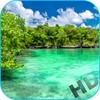 Paradise Video Live Wallpaper icon