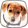 Cute Dogs Live Wallpaper icon