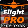 Pro Flight Simulator 2 - New Y icon