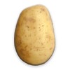 Potato icon