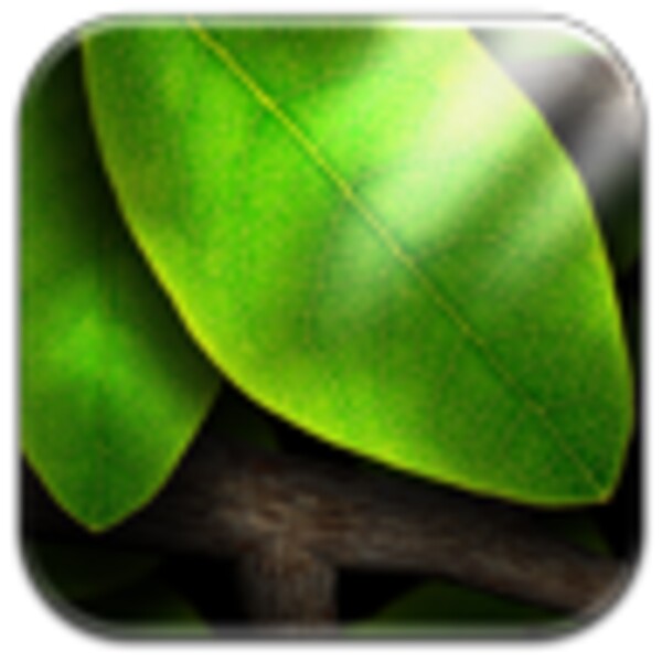 Tap Leaves Free Live Wallpaper for Android - Download the APK from Uptodown
