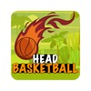 Head BasketBall icon