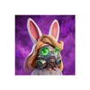 Icono de Last Furry: Survival