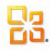 Microsoft Office Professional Plus icon