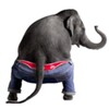 Bailar elefante hablar icon