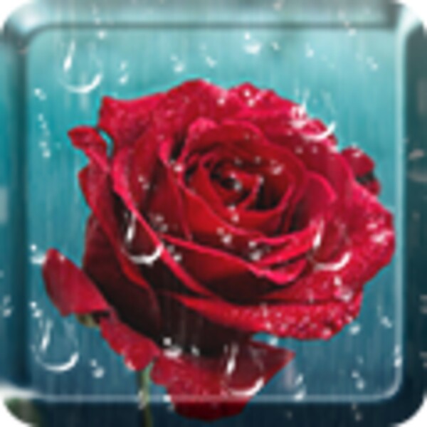 Rose Drops Live Wallpaper for Android - Download the APK from Uptodown