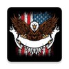 American Flag Wallpapers icon