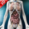 Human anatomy 3D : Organs and Bones icon
