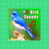 Bird Ringtones icon