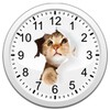 Cats Analog-Clocks Widget icon