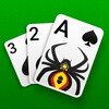 Spider Solitaire 아이콘