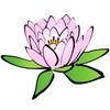 Lotus Live Wallpaper icon