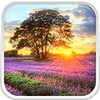 Икона Perfect Sunset Live Wallpaper