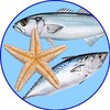 Biểu tượng Fish Types