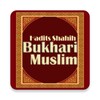 Icono de Terjemah Shahih Bukhari Muslim
