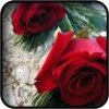 Icona di Red Flowers Wallpapers