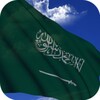 3D Saudi Arabia Flag LWPアイコン