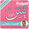 sourat yassin sayed metwally icon