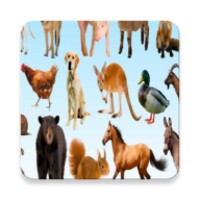 AtoZ Animal Name for Android Download the APK from Uptodown