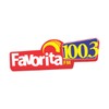 Favorita FM 100,3 icon