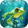 Pocket Frogs icon