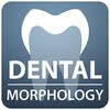 DentalMorphology icon