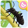 Ant - Insect World icon