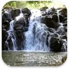 Real Nature Live Wallpaper icon