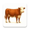 Icono de My Cattle Manager