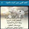 الشعر العربي بدون نترنت بالصور icon