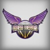 Dream Leagues icon