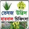 Icon von ভেষজ উদ্ভিদ দিয়ে হারবাল চিকিৎসা