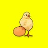Icono de Pollos de Engorde