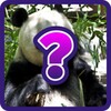 Guess The Animal - Photo Quiz icon