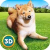 Play With Your Dog: Shiba Inu icon