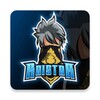 Ícone de RaiStar Gaming
