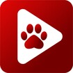 Bear Player feature