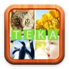 Teka Gambar icon