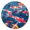 Koi Fish Pond Video LWP icon
